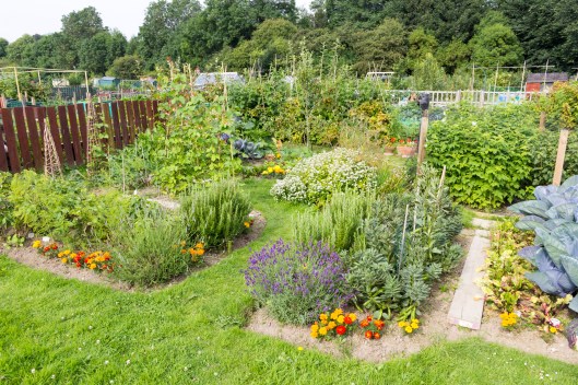Allotment