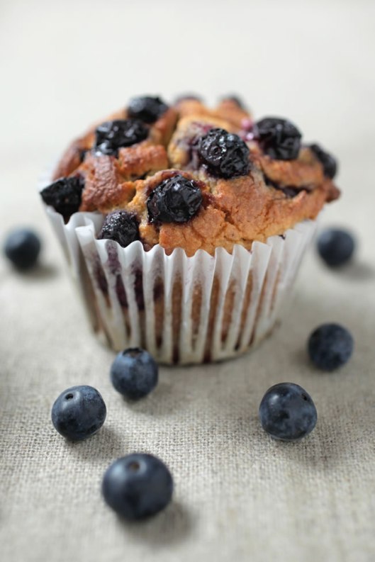 blueberry-muffin-graded-bright-2797