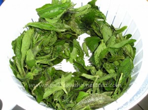 stevia-extract-4-1024x766